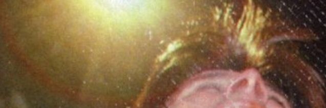 Stevegasuki's profile banner image
