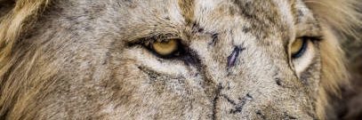_jaquann's profile banner image
