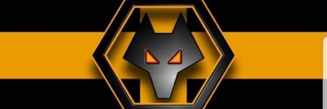 Mitchell Partridge banner