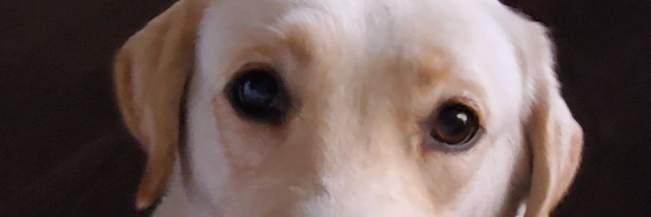 cuecenterorg's profile banner image