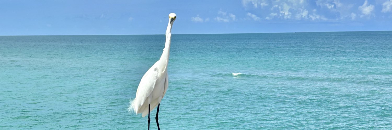 Haylo78's profile banner image