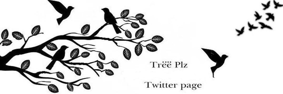 Treeplz's profile banner image