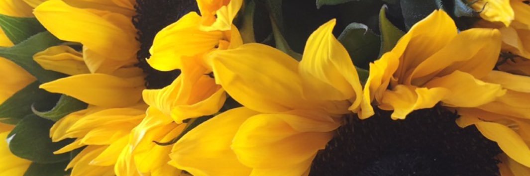 melijanet__'s profile banner image