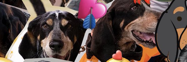 nkim47 Profile Banner