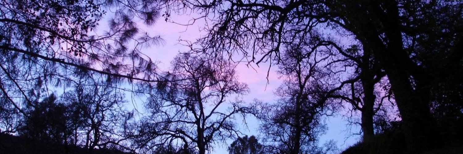 effie_apla's profile banner image