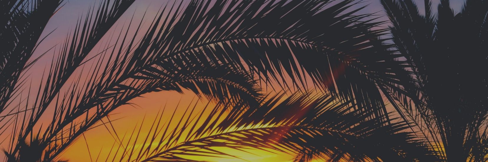 millomusica's profile banner image