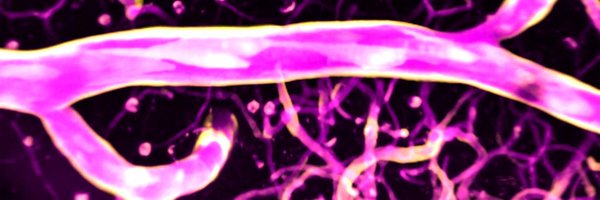 _TomLongden Profile Banner