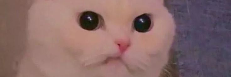 RotzaxD's profile banner image