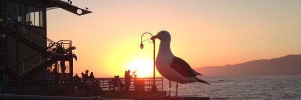 carombm's profile banner image