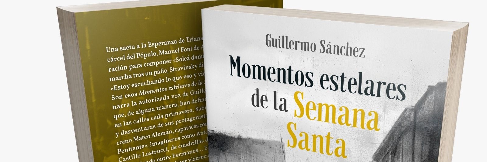 Guillermo Sánchez banner