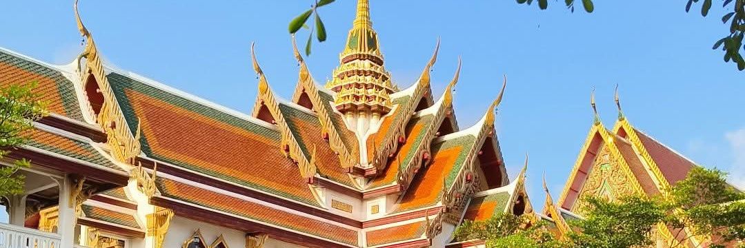 ermitaño de casa banner