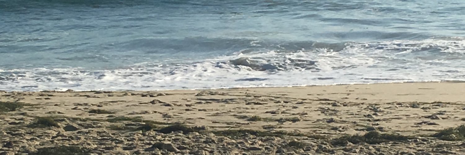 lockenlm's profile banner image