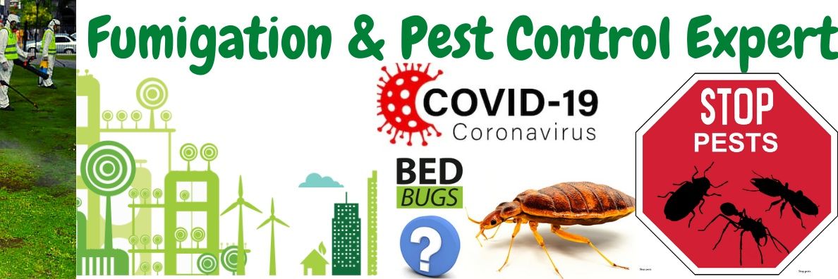 pestpreneur's profile banner image