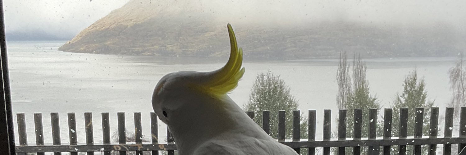 lawhitedevil's profile banner image