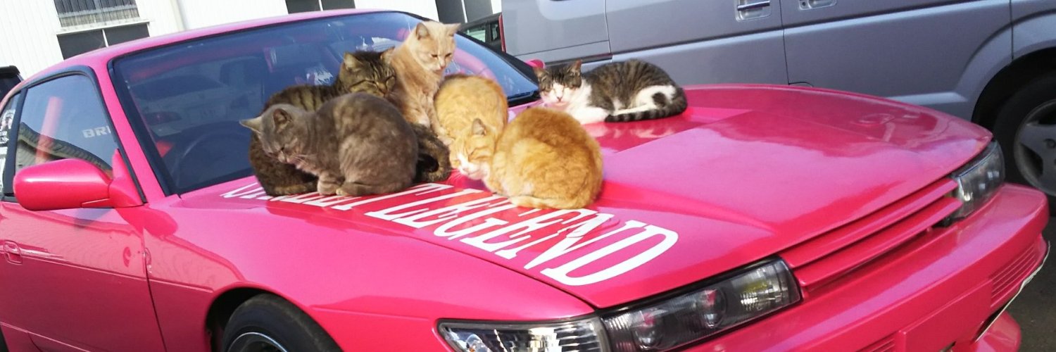 sur bluesky maintenant banner