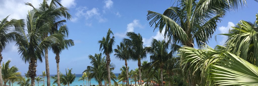 LynSB_'s profile banner image