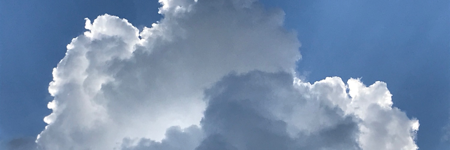 DawnT817's profile banner image