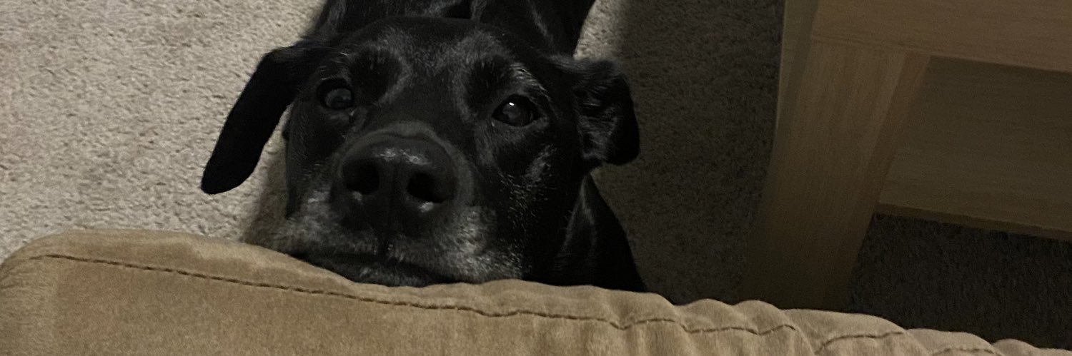 Rissaroo_21's profile banner image