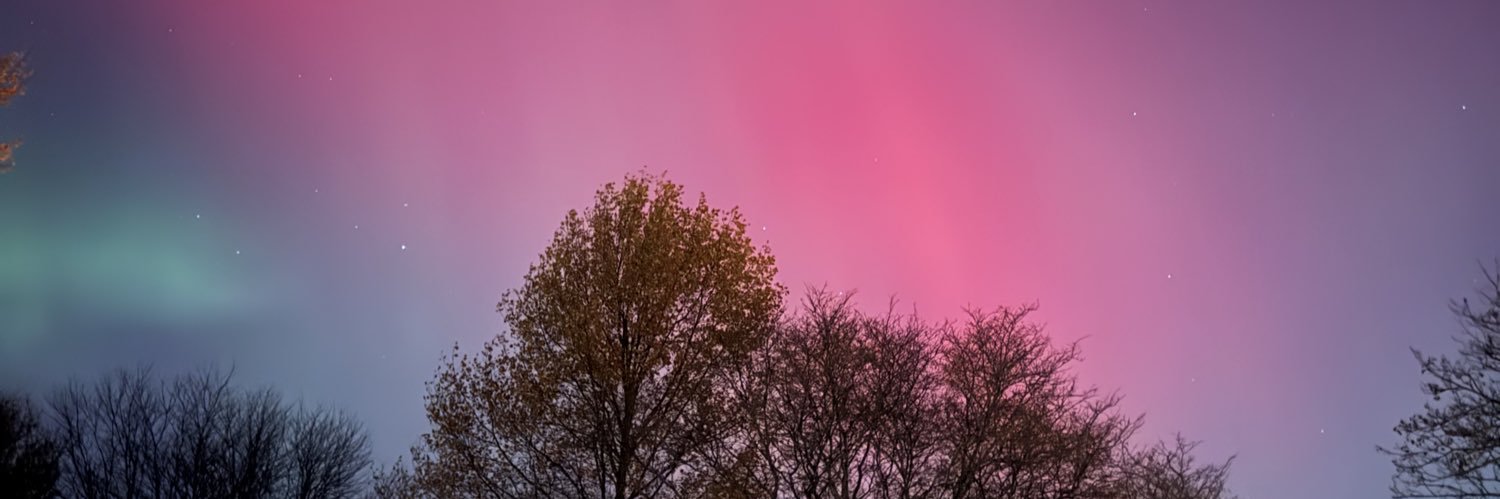 danielamonsalvd's profile banner image