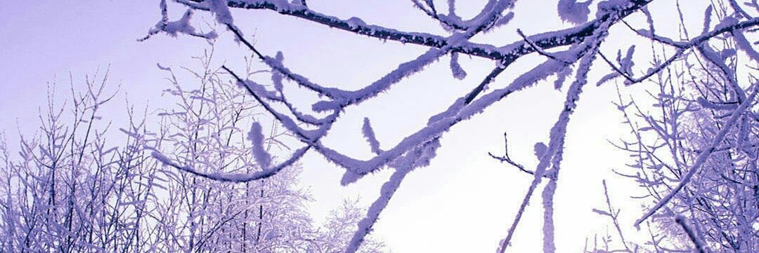 tm_stella's profile banner image
