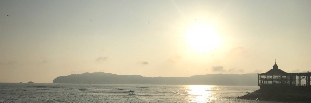 Elizabeth Acuña banner