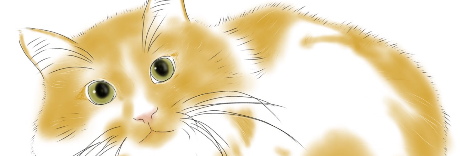 ponchu37's profile banner image