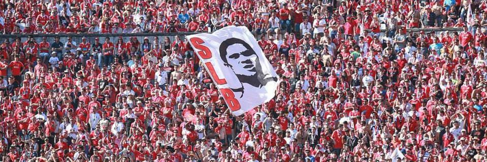 joaorsilva's profile banner image