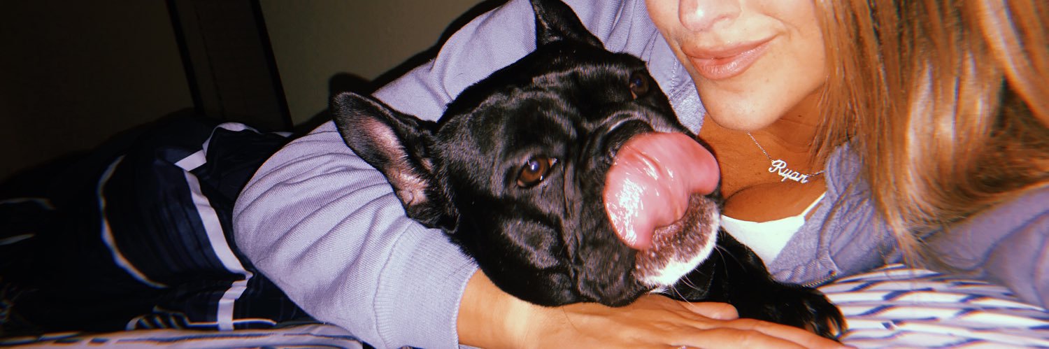 boodlemom's profile banner image