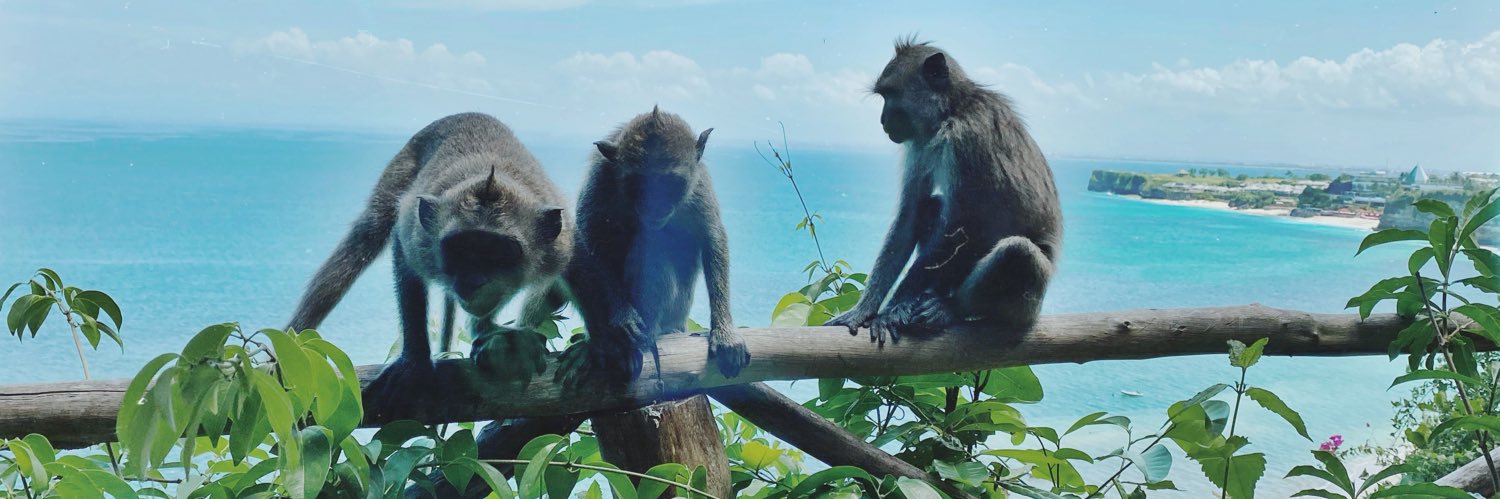 satoshi’s daughter.🦁 banner