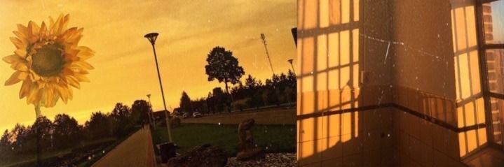 ToOoNa1's profile banner image