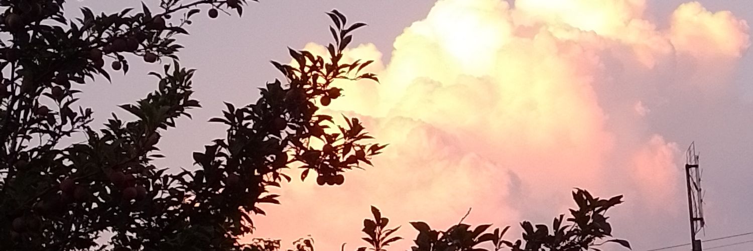 Luu_Chavero's profile banner image