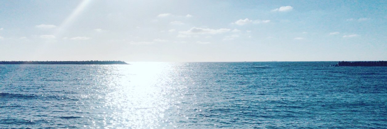 sarahnagdy's profile banner image
