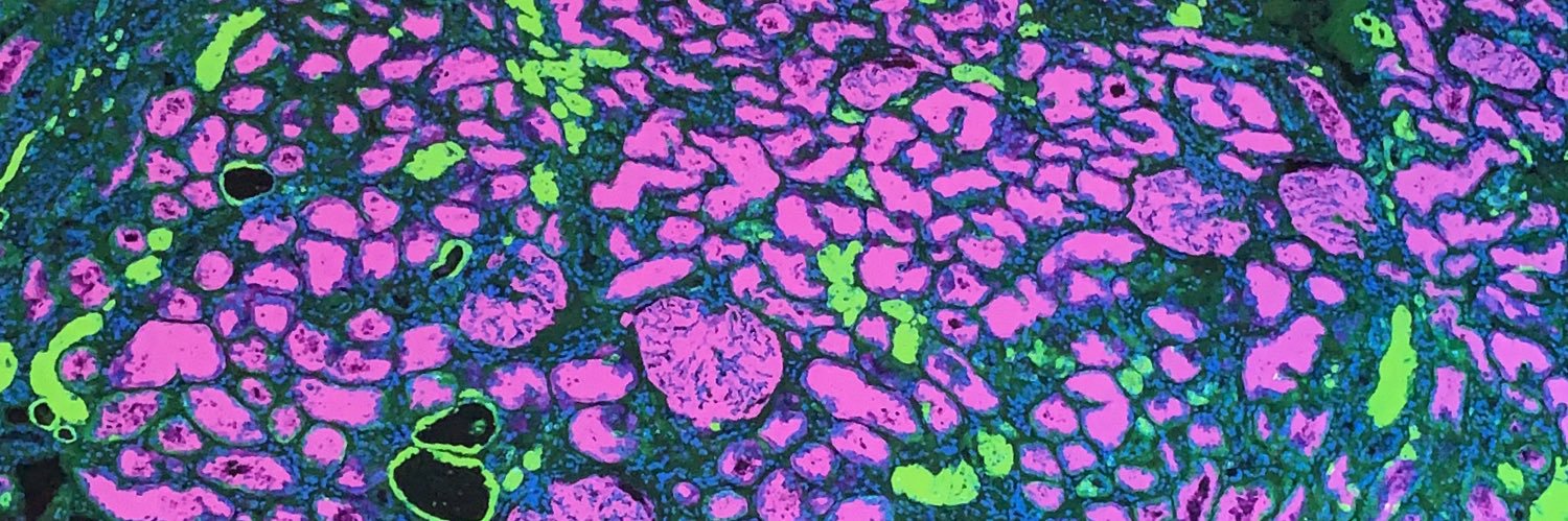 🧬 Erwan 🚀 banner