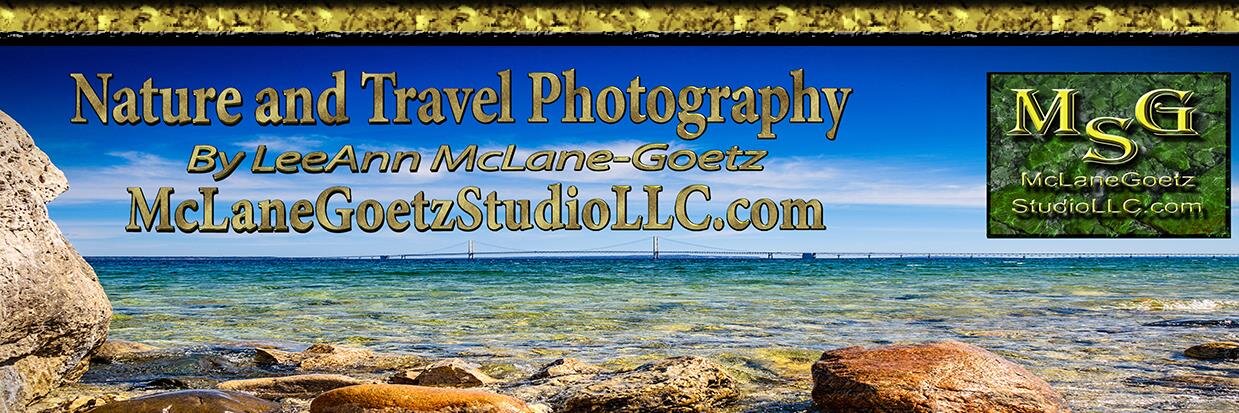 LMclaneGoetz's profile banner image