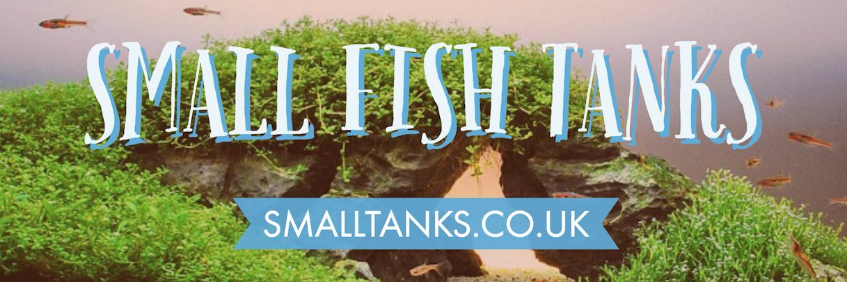 SmallTanksUK's profile banner image