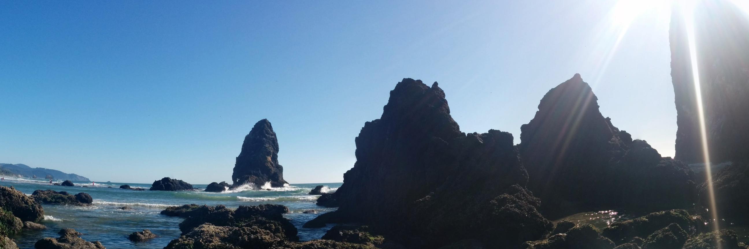 William Reisinger banner