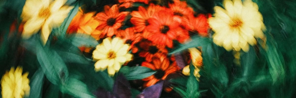 Selin banner