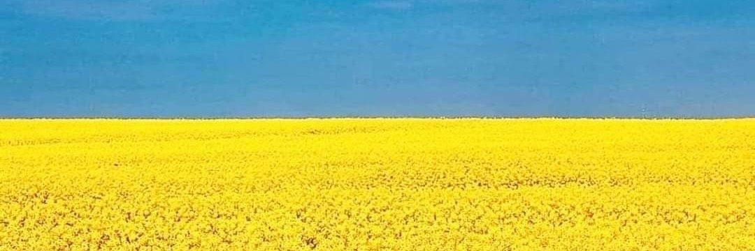 Vittorio Arena banner