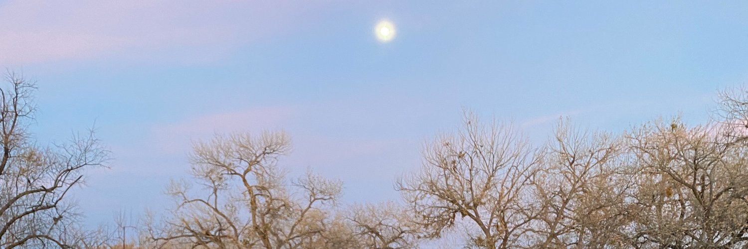glass🪞delusions's banner