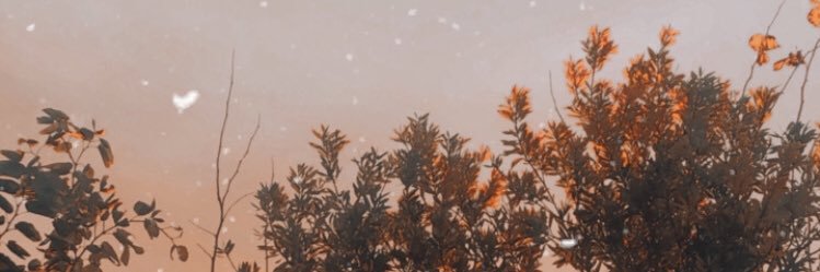 lurommero's profile banner image