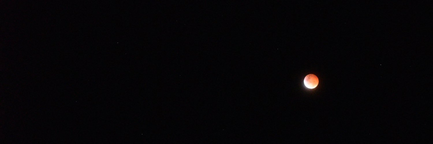 adela_p01's profile banner image