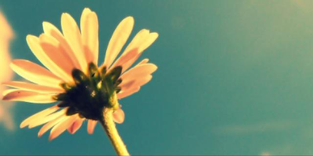 kay_schultz10's profile banner image