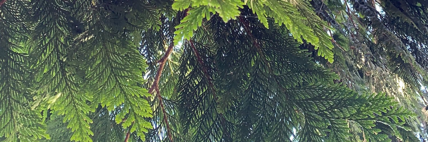 pegaboo1's profile banner image