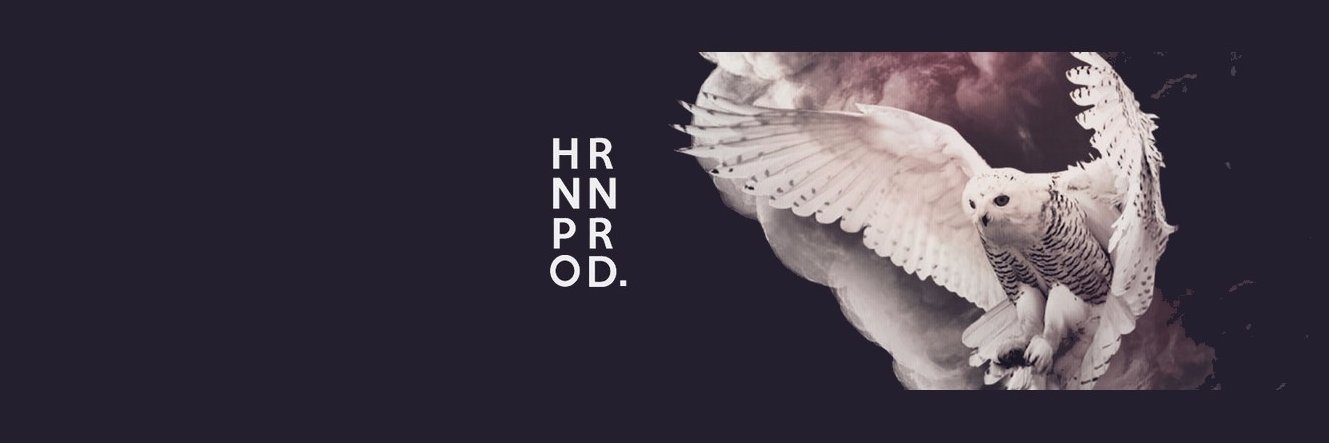 HRNNProduction's profile banner image