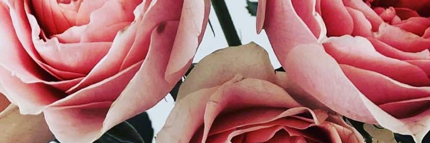 dandybalderdash's profile banner image