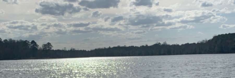 AmeliaGajewski's profile banner image