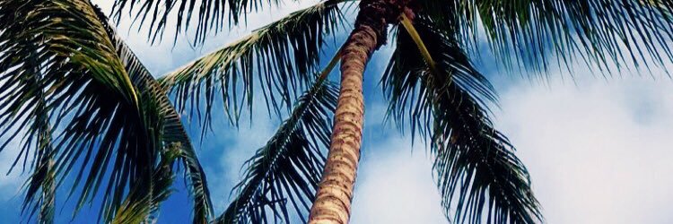quinoaabecker's profile banner image