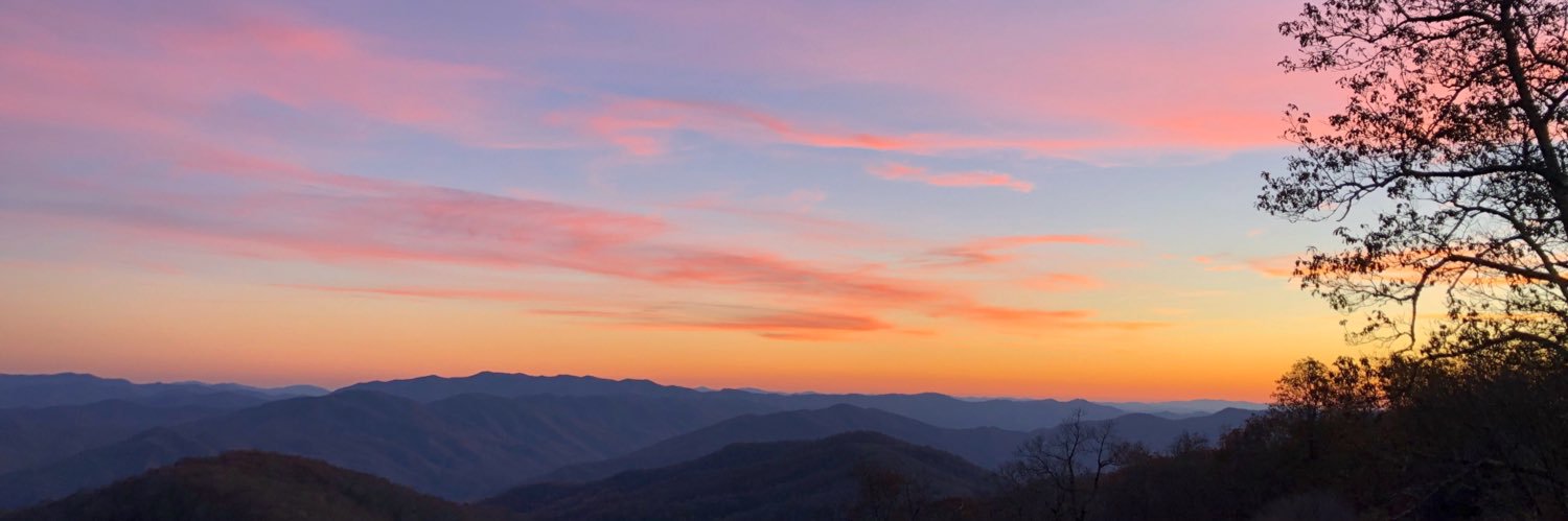 stephenwiley_'s profile banner image
