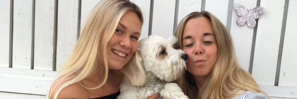 LinaSandgren's profile banner image