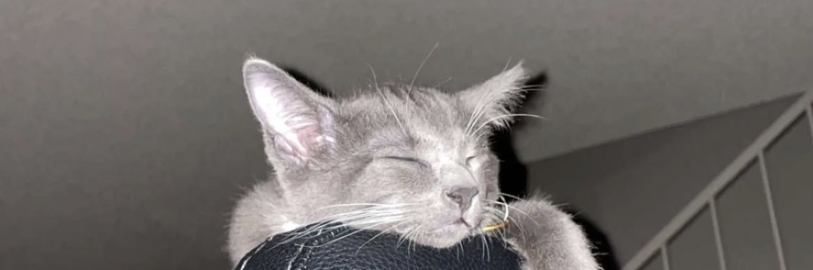 brrelax's profile banner image